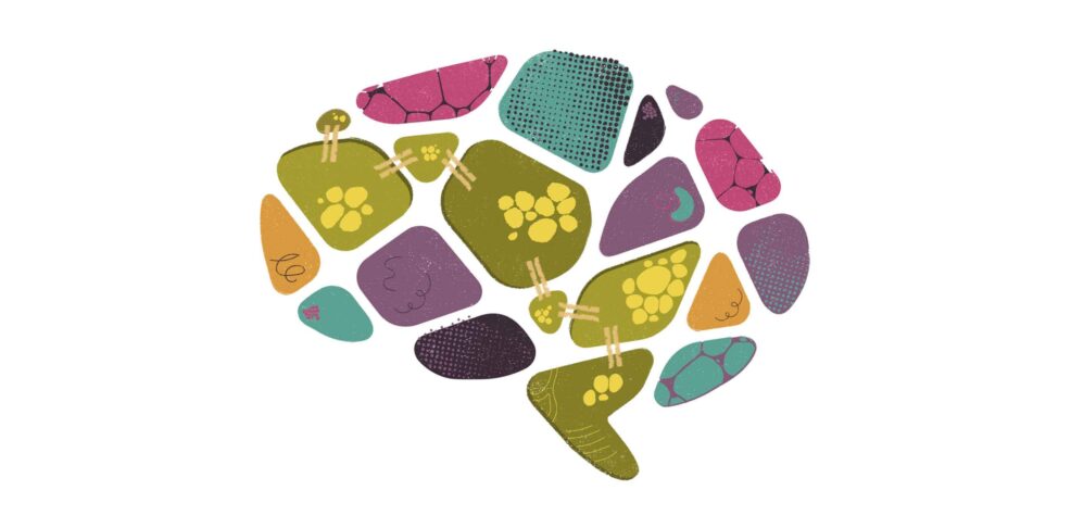 BLOG Aprendizaje significativo2