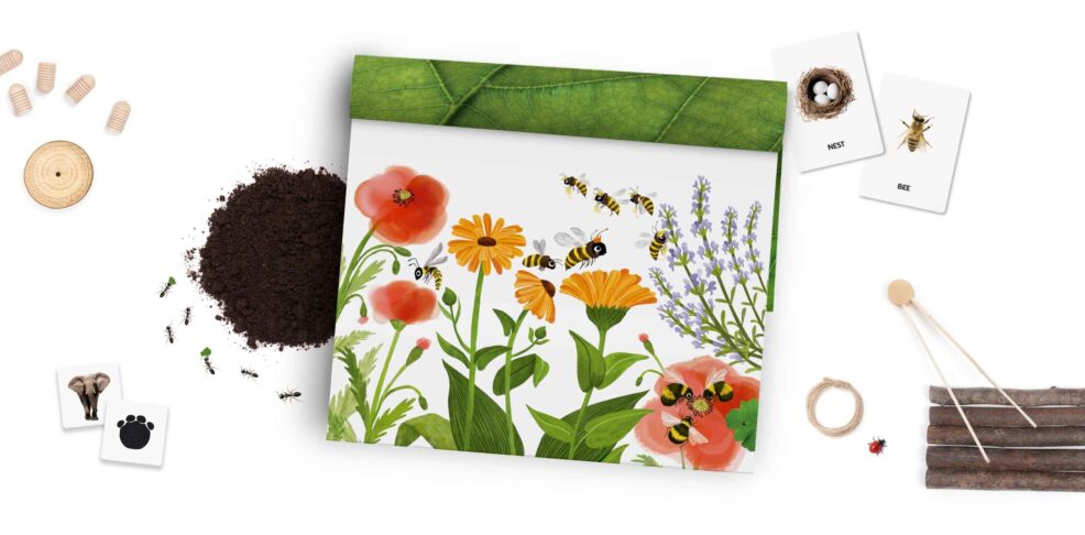 Blog Inteligencia Naturalista