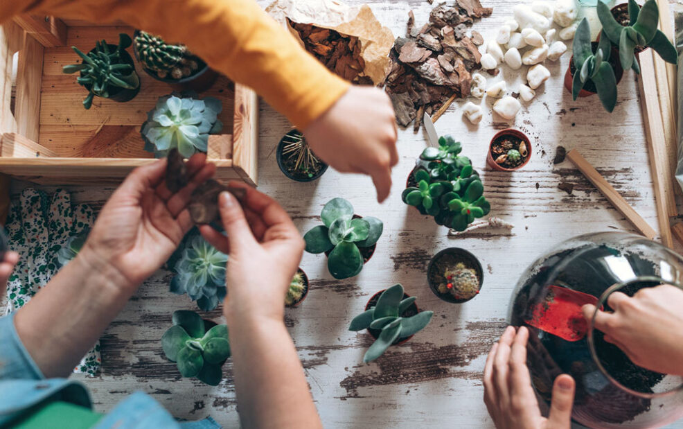 Blogs Como trabajar el huerto Infantil