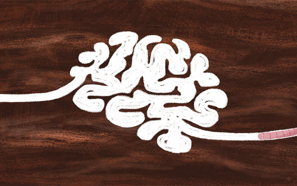 Funciones ejecutivas