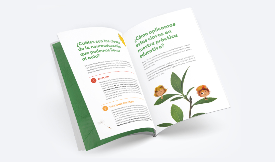 Guias Descubre las claves de la neuroeducacion y como aplicarlas en el aula