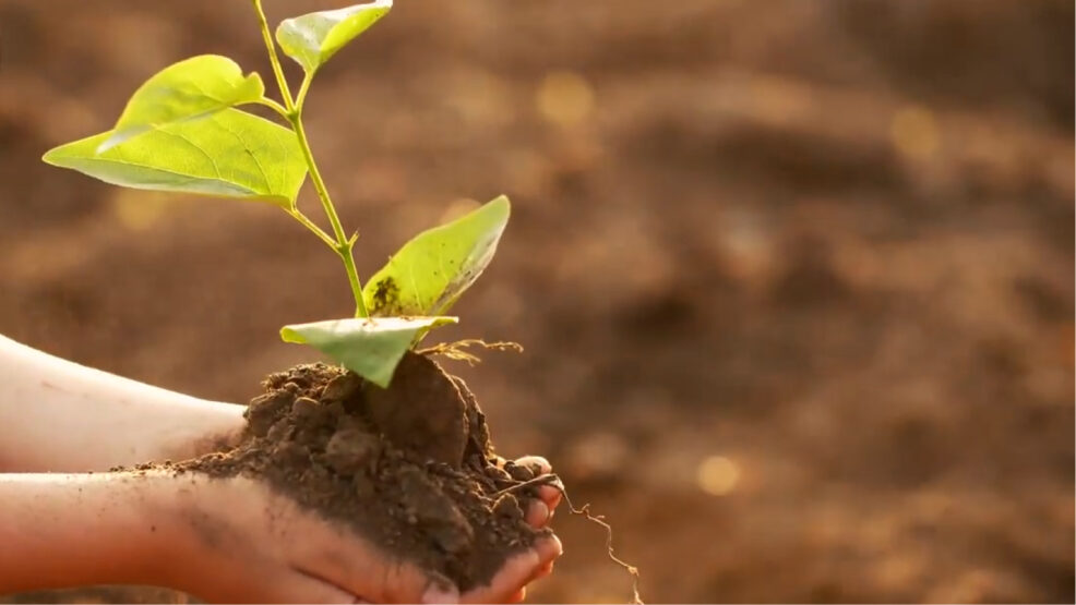 Inspira. Proyectos emocionantes para educar en verde y revolucionar la educacion infantil
